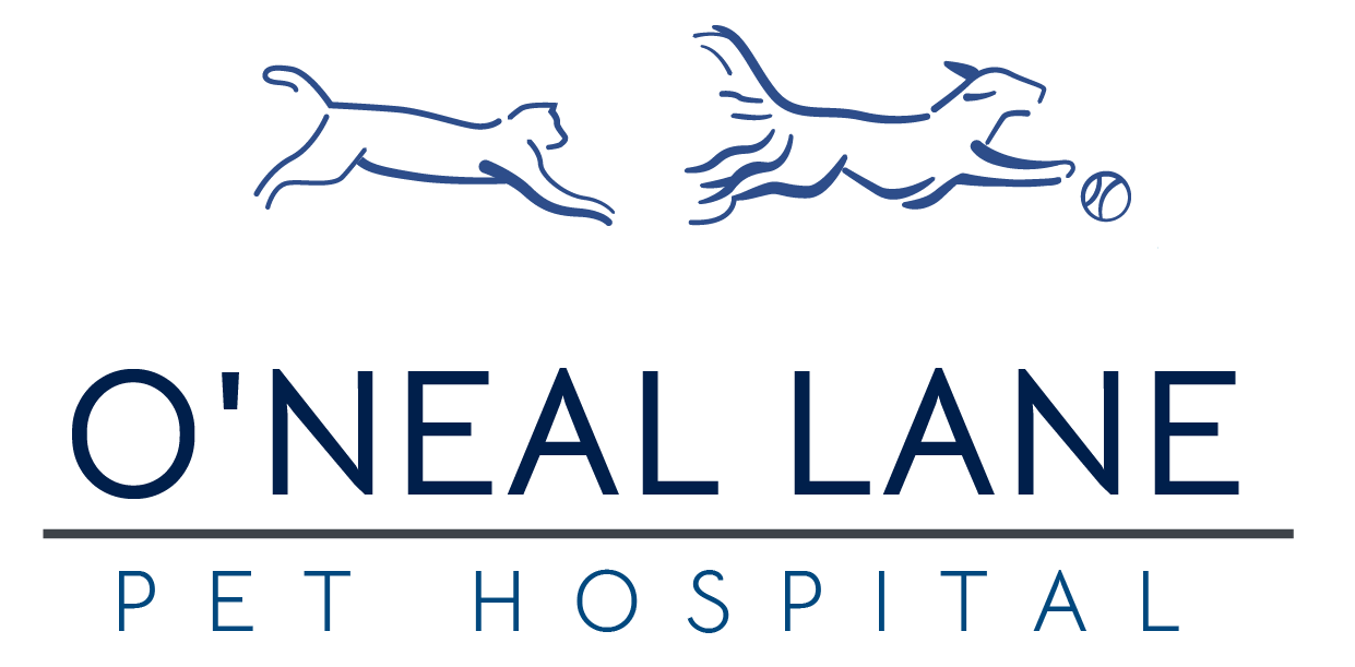 Best Veterinary Hospital in Baton Rouge, LA - O'Neal Lane Pet Hospital